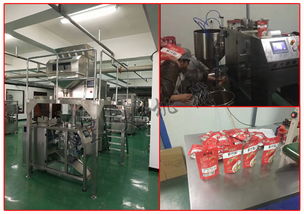 自動化包裝解決方案 調味品全自動包裝機的優勢與市場應用